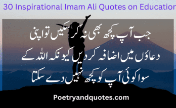 30 Inspirational Imam Ali Quotes on Education