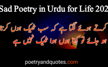 Sad Poetry in Urdu For Life