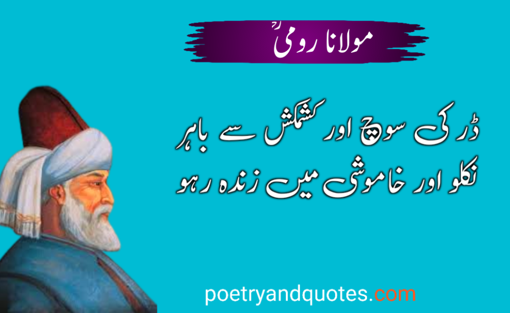 20 All Time Best Rumi Quotes in Urdu