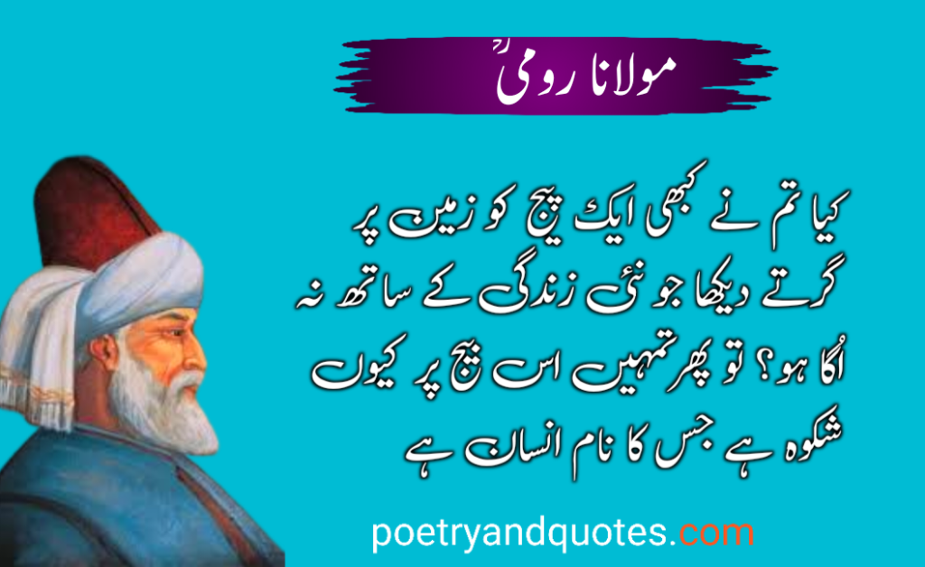 20 All Time Best Rumi Quotes in Urdu