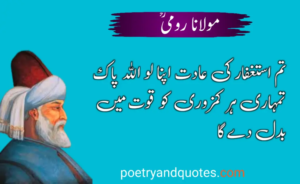 20 All Time Best Rumi Quotes in Urdu