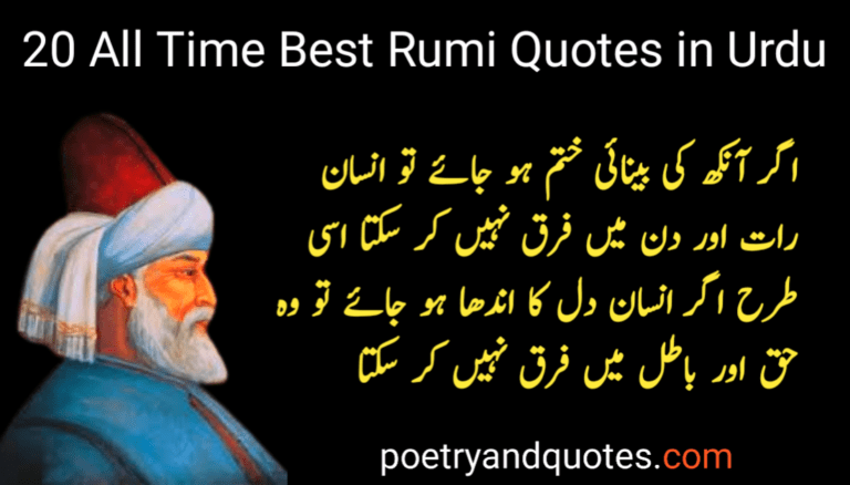 20 All Time Best Rumi Quotes in Urdu