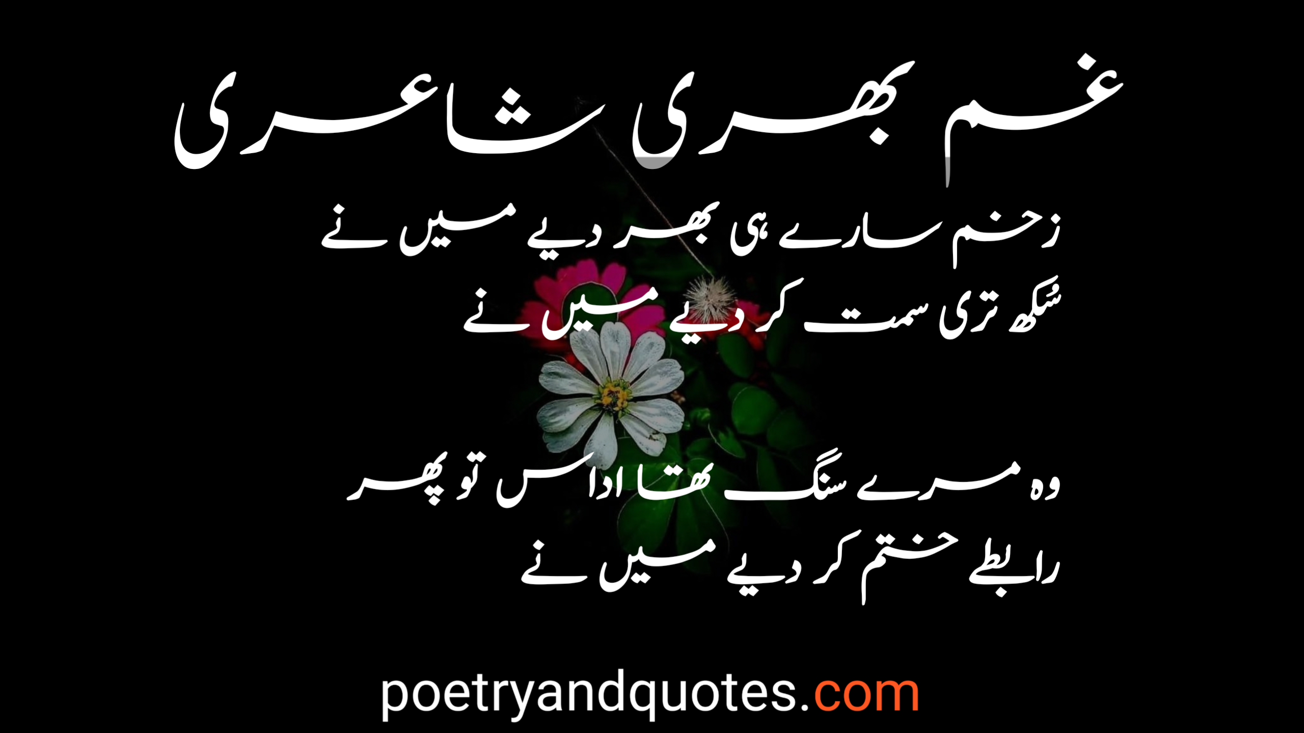 Urdu Poetry