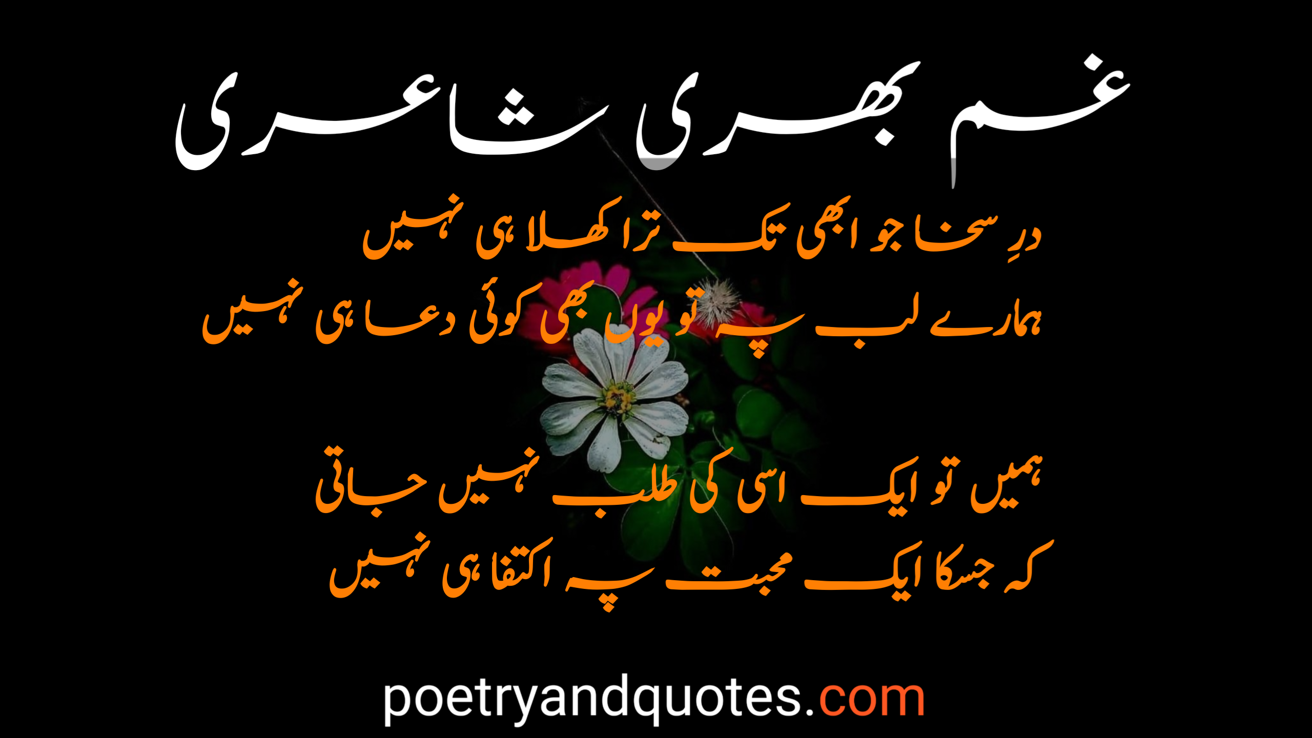 Urdu Poetry