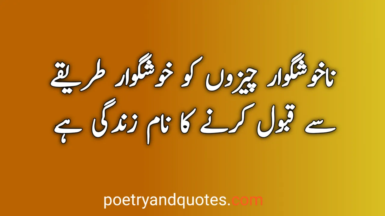 50 Urdu Quotes On Life, Love & Inspiration 