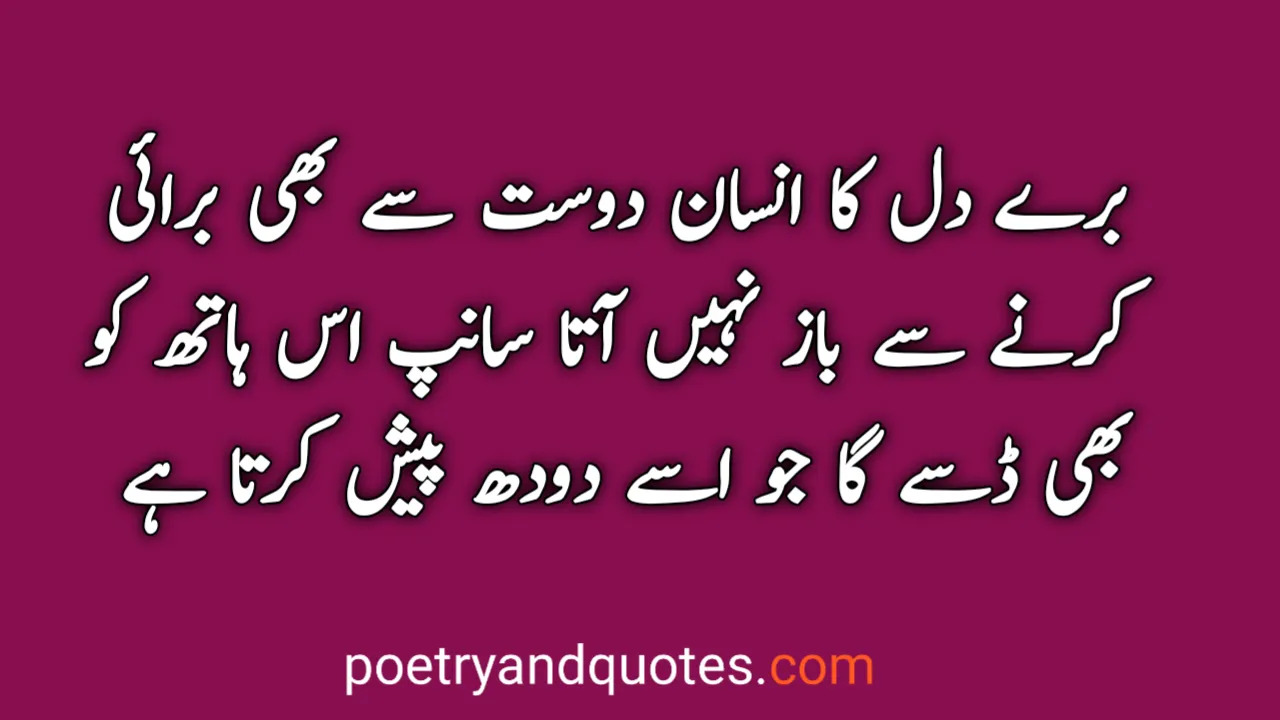 50 Urdu Quotes On Life, Love & Inspiration 