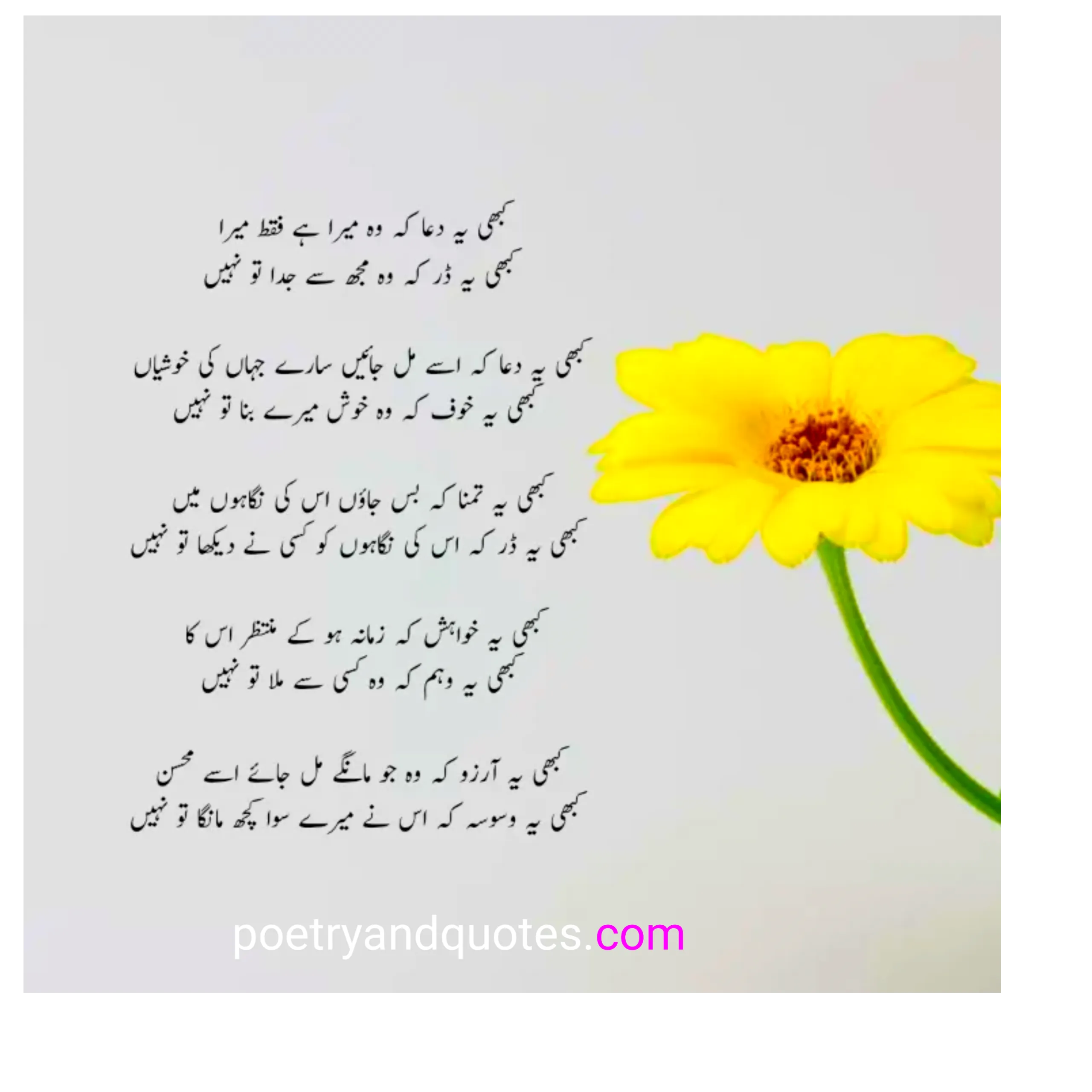 15 Best Sad Poetry in Urdu | Sad Urdu Poetry