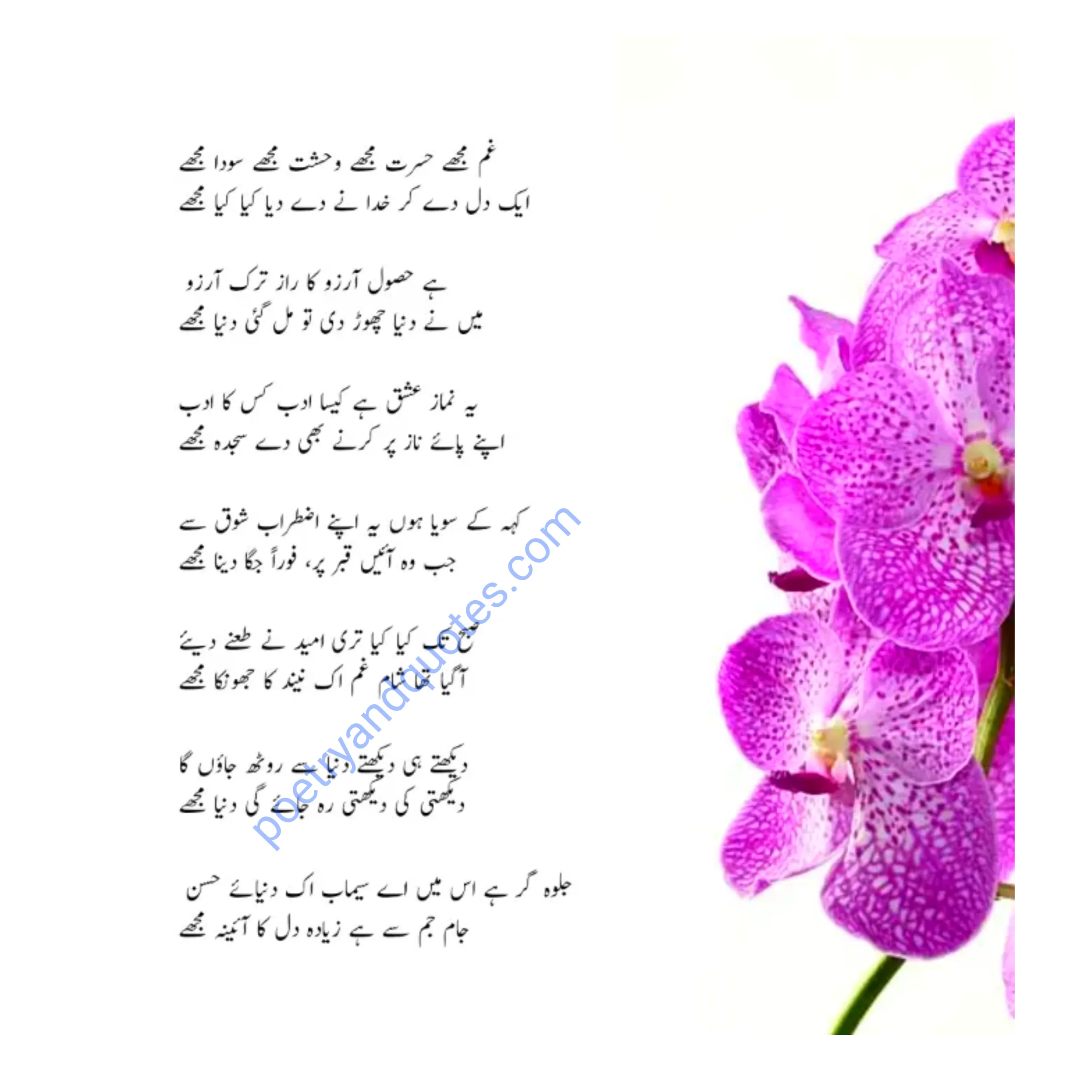 15 Best Sad Poetry in Urdu | Sad Urdu Poetry