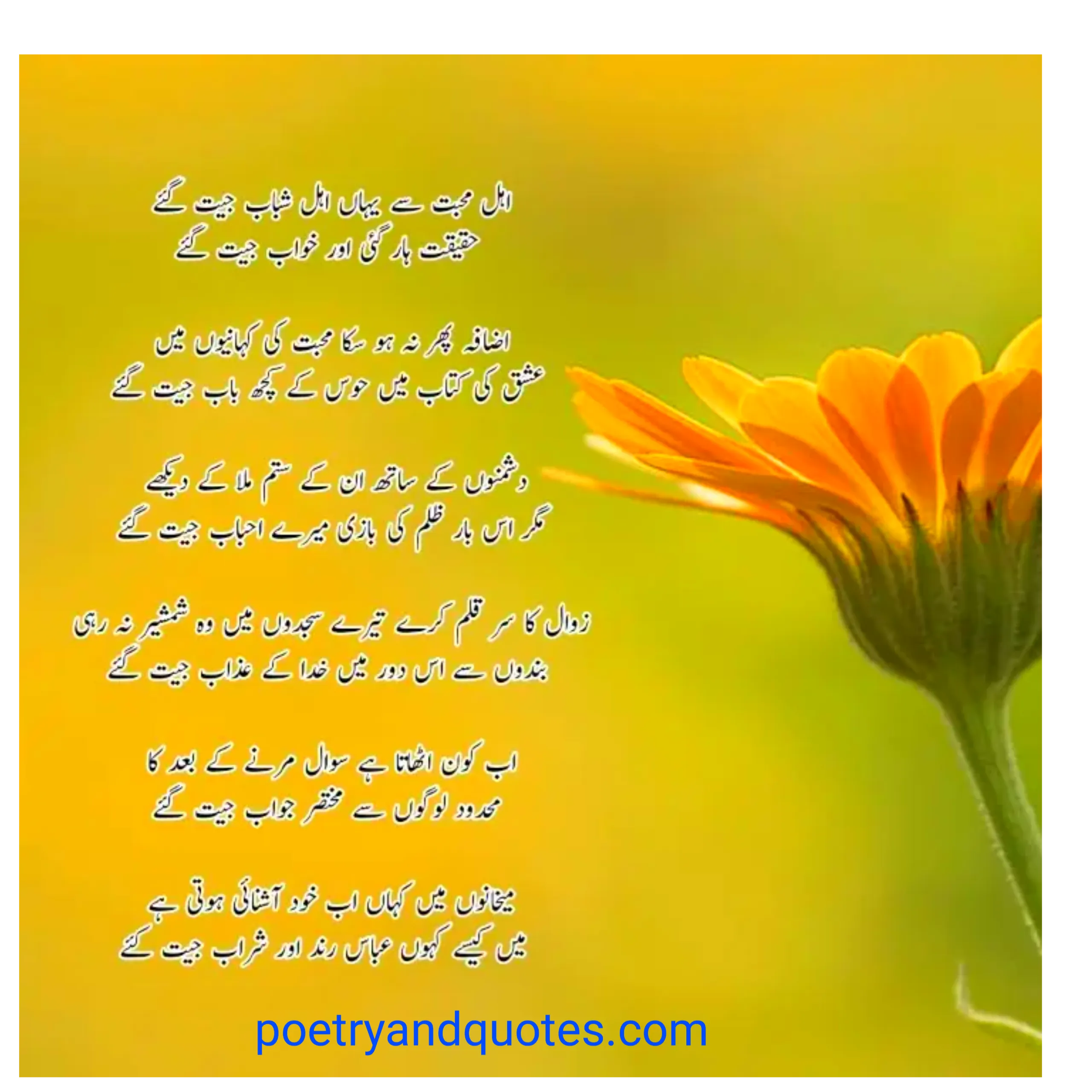 15 Best Sad Poetry in Urdu | Sad Urdu Poetry