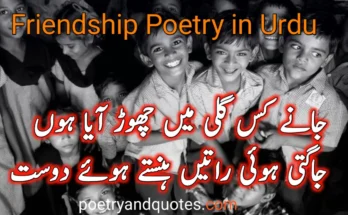 Friendship Poetry in Urdu
