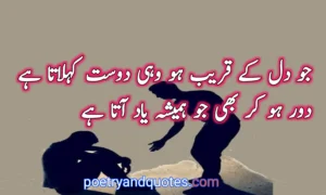 Friendship Poetry in Urdu