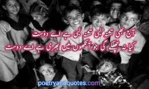 Friendship Poetry in Urdu