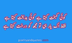 Friendship Poetry in Urdu