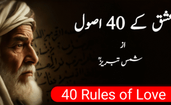 40 Rules of Love by Shams Tabrizi