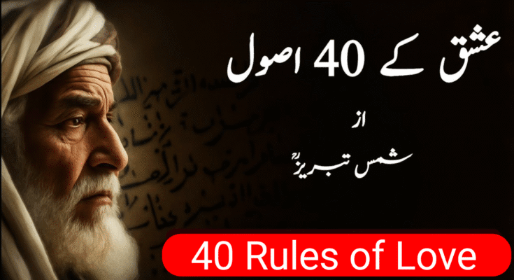 40 Rules of Love by Shams Tabrizi