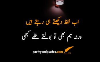 Deep reality Urdu quote about life for daily inspiration