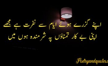 Urdu Text Poetry