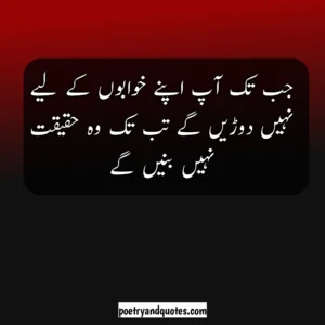Success Quotes in Urdu
