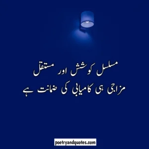 Success Quotes in Urdu