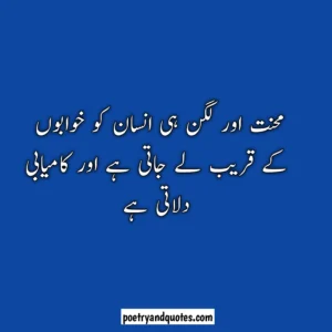 Success Quotes in Urdu