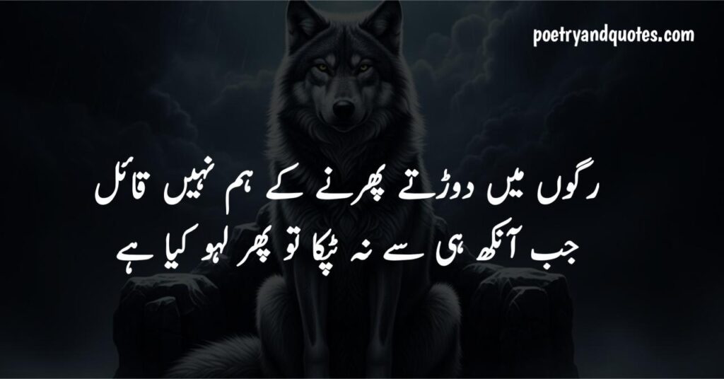 Attitude Poetry in Urdu