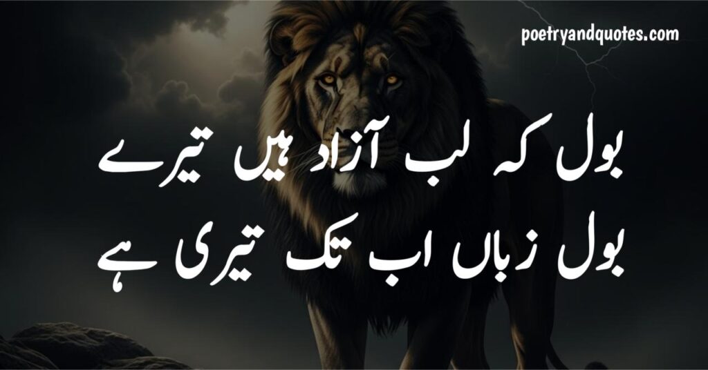 Attitude Poetry in Urdu