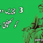 Islamic Quotes in Urdu That Teach Patience and Gratitude