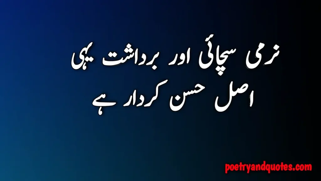 Islamic Quotes in Urdu That Teach Patience and Gratitude