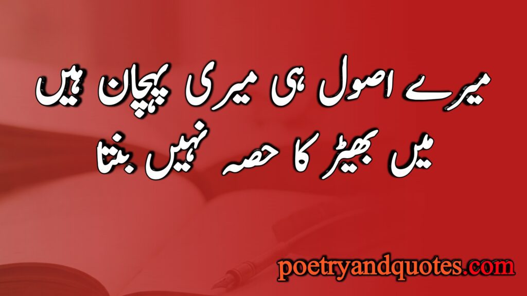 Attitude Poetry in Urdu: Bold Urdu Shayari for Self-Respect and Ego