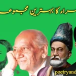 Why Urdu Poetry Connects Deeply With Emotions