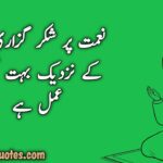 The Best Collection of Evergreen Urdu Quotes