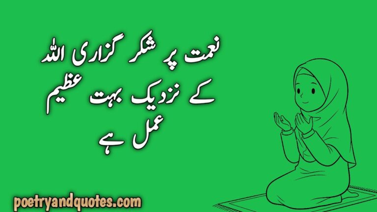 The Best Collection of Evergreen Urdu Quotes